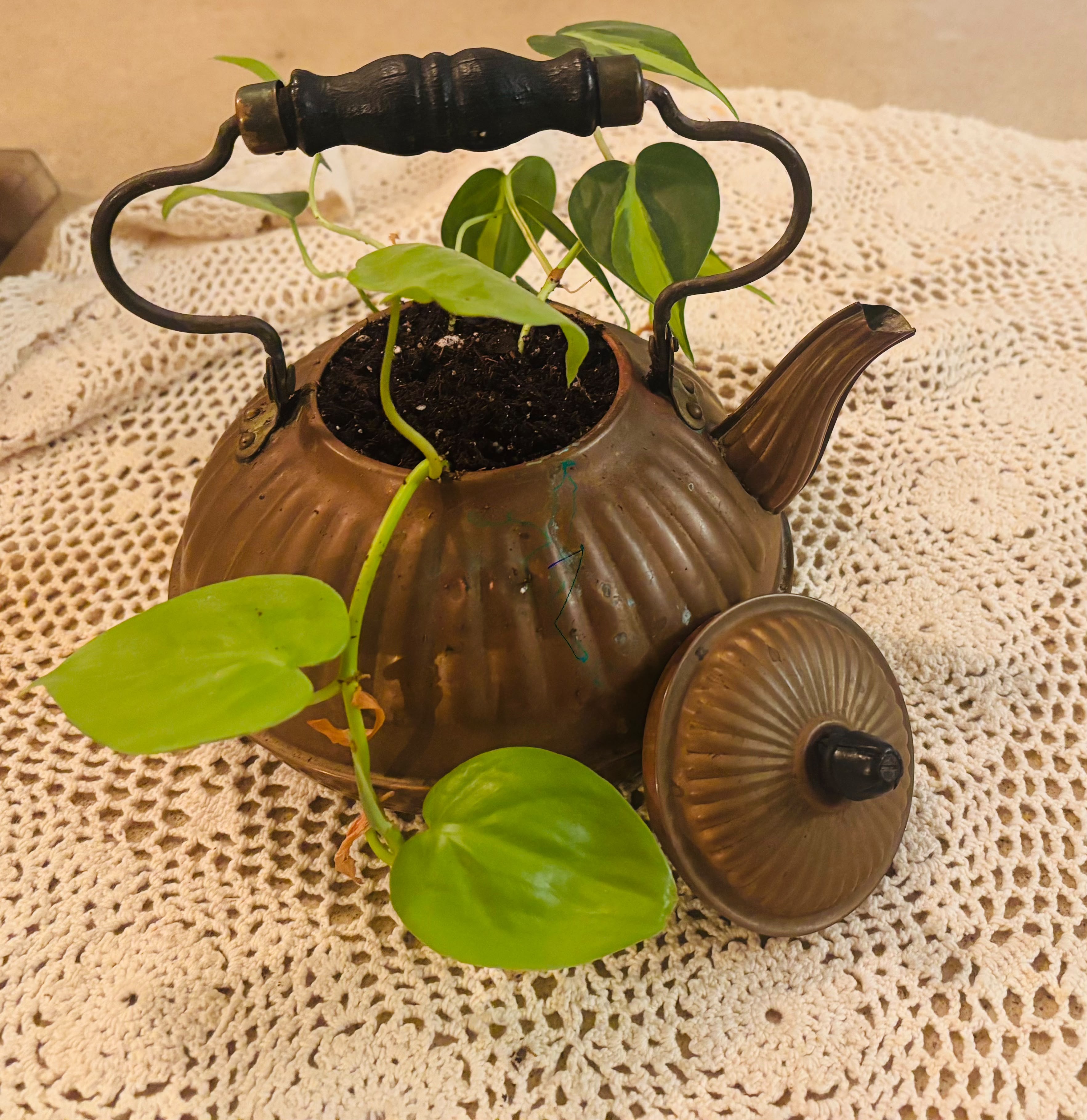 Antique brass Tea Kettle planter