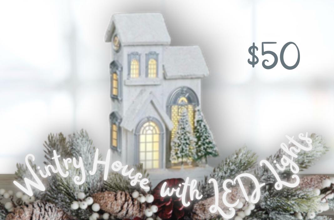 Winter house