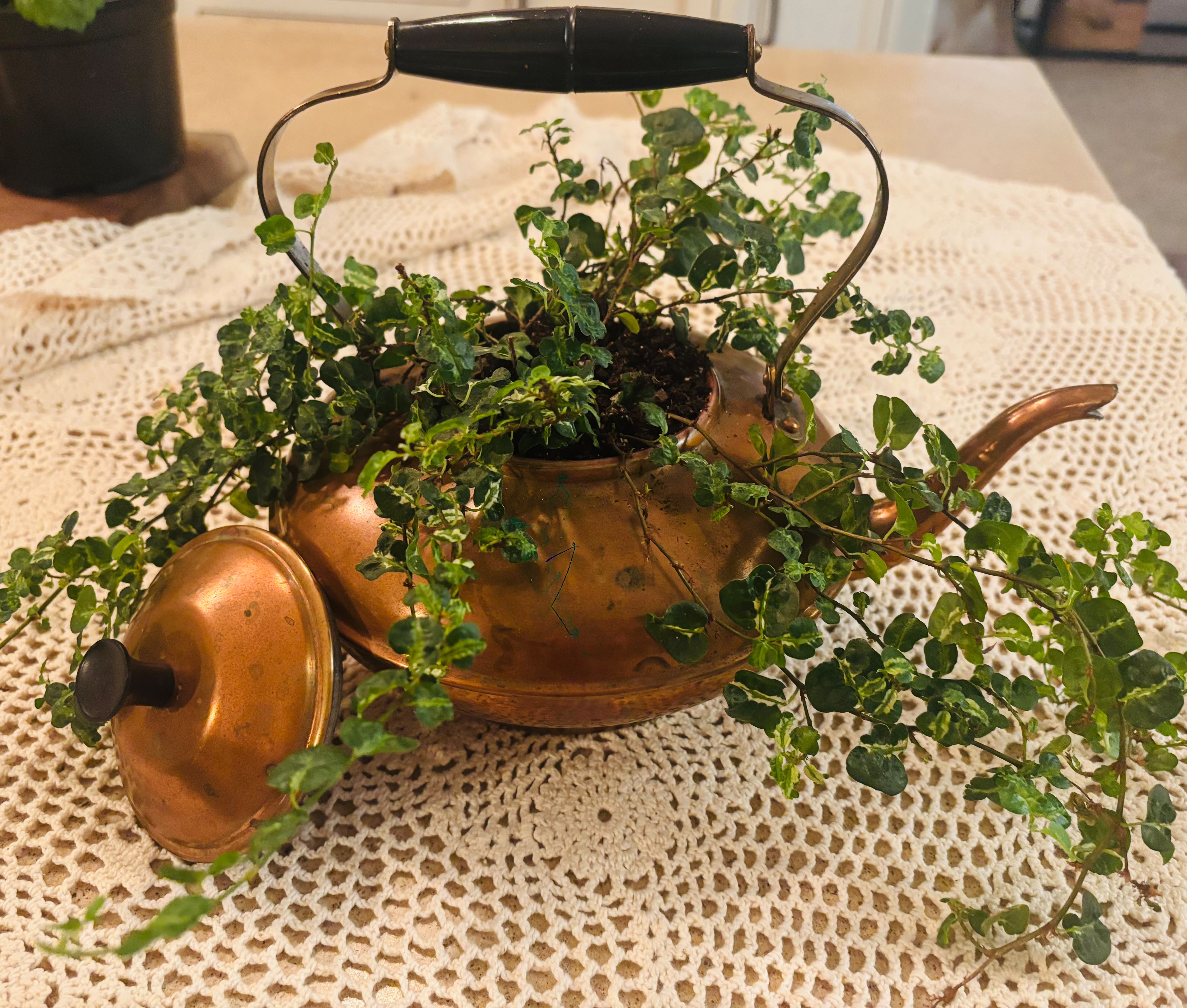 Antique Copper Tea Kettle Planter